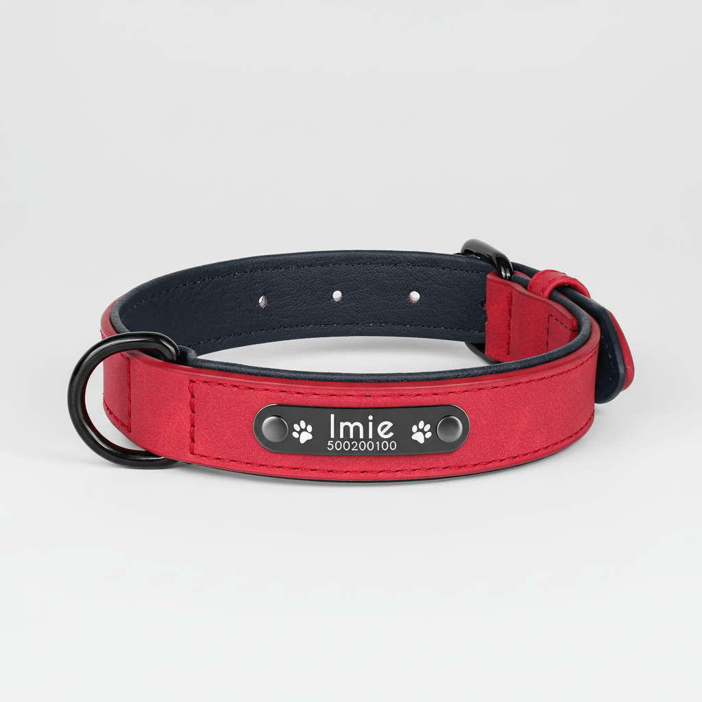 Obroża dla psa z grawerem