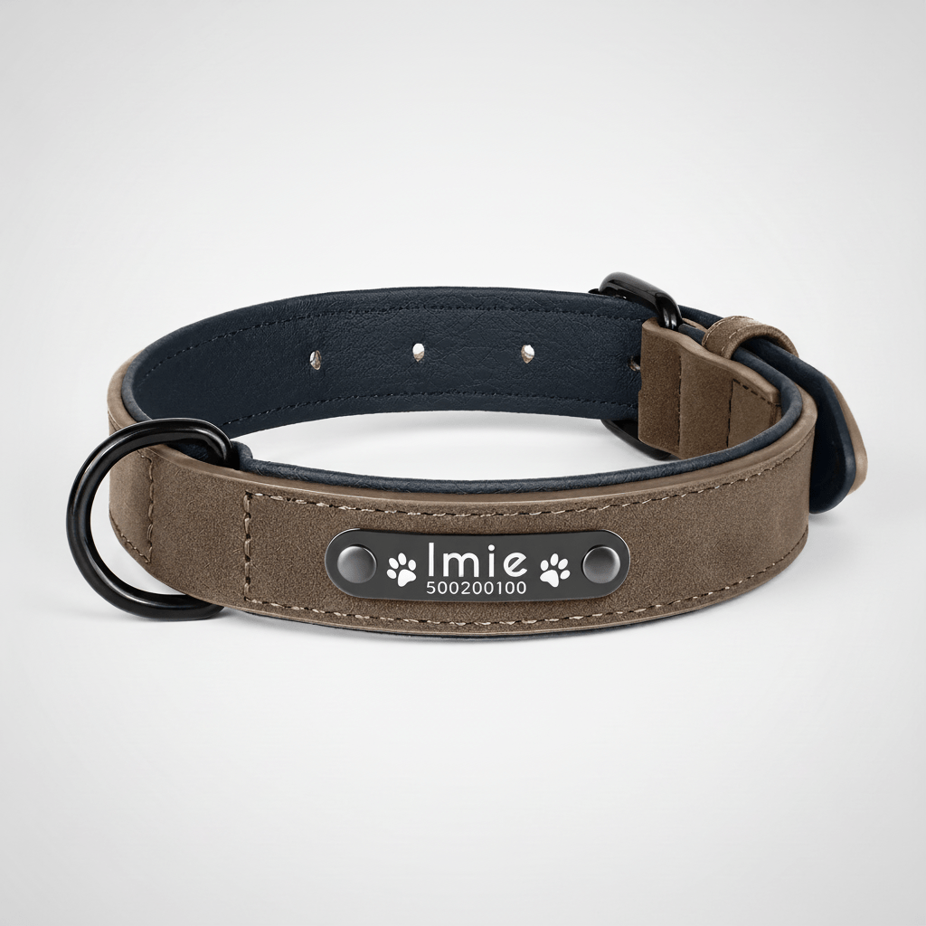 Obroża dla psa z grawerem