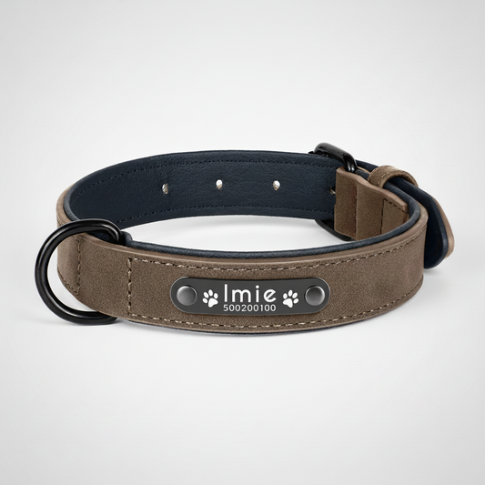 Obroża dla psa z grawerem