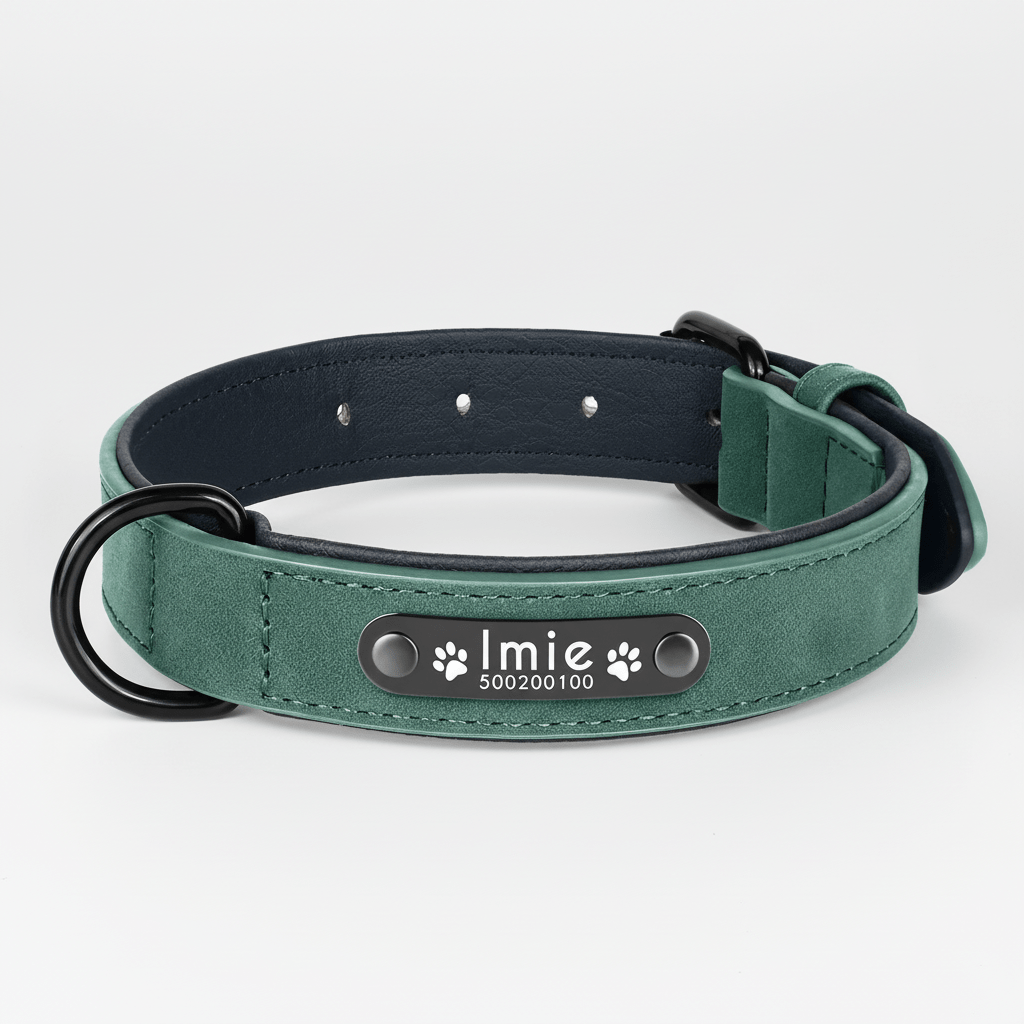 Obroża dla psa z grawerem